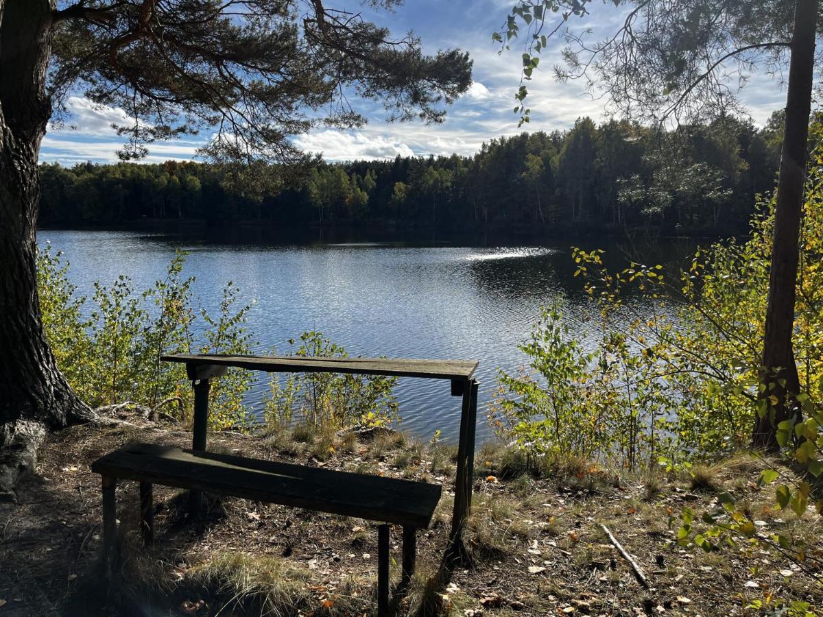 Ferienwohnung Am See Dillich - Ruhige Lage - Eigener Garten - Direkt Neben Einem Natursee Borken  外观 照片