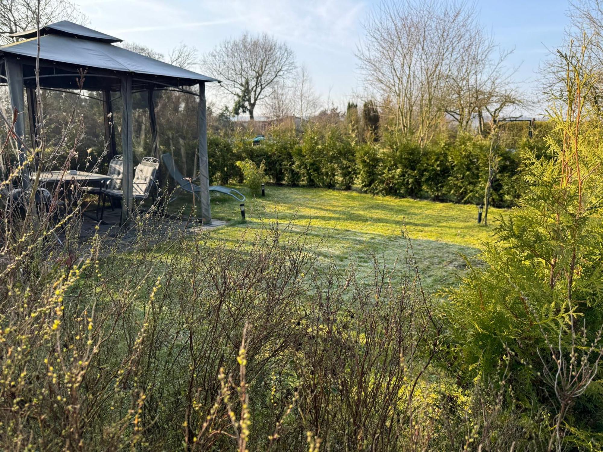 Ferienwohnung Am See Dillich - Ruhige Lage - Eigener Garten - Direkt Neben Einem Natursee Borken  外观 照片