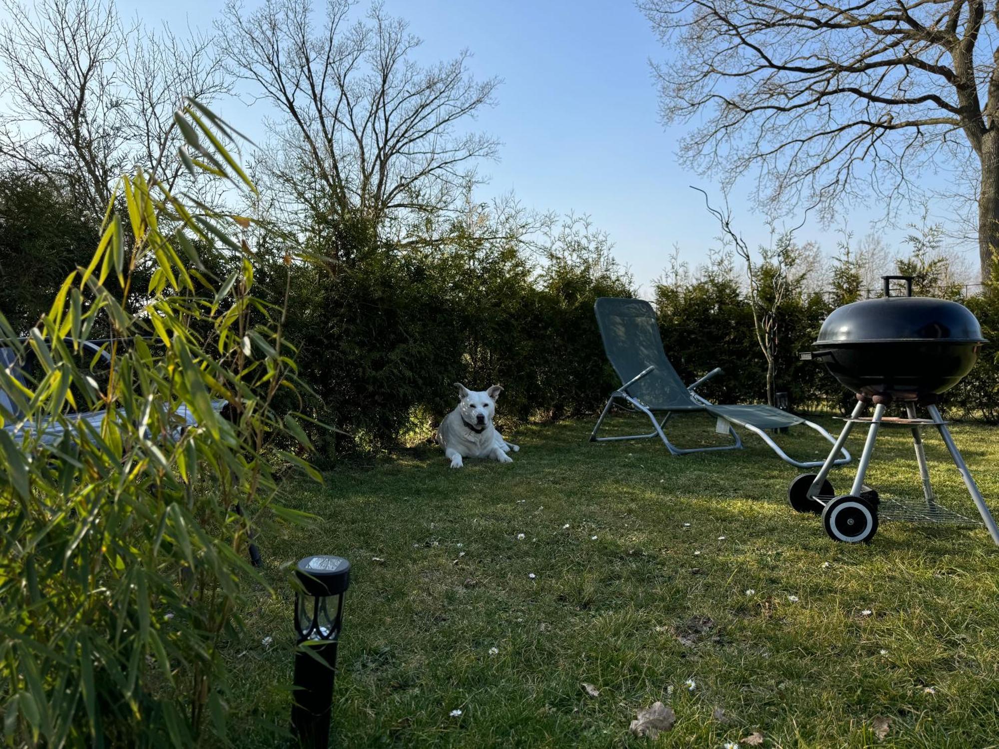 Ferienwohnung Am See Dillich - Ruhige Lage - Eigener Garten - Direkt Neben Einem Natursee Borken  外观 照片