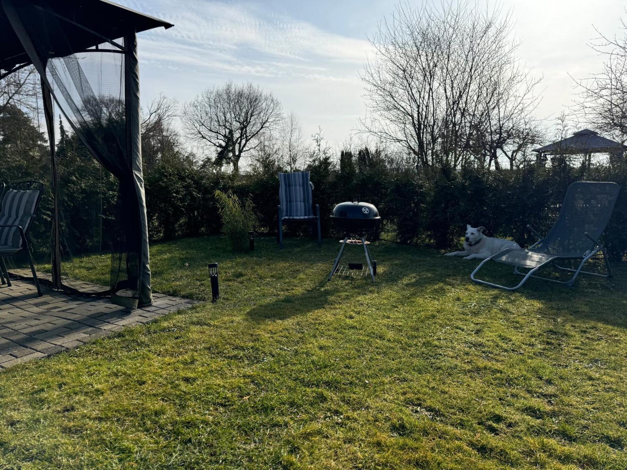 Ferienwohnung Am See Dillich - Ruhige Lage - Eigener Garten - Direkt Neben Einem Natursee Borken  外观 照片