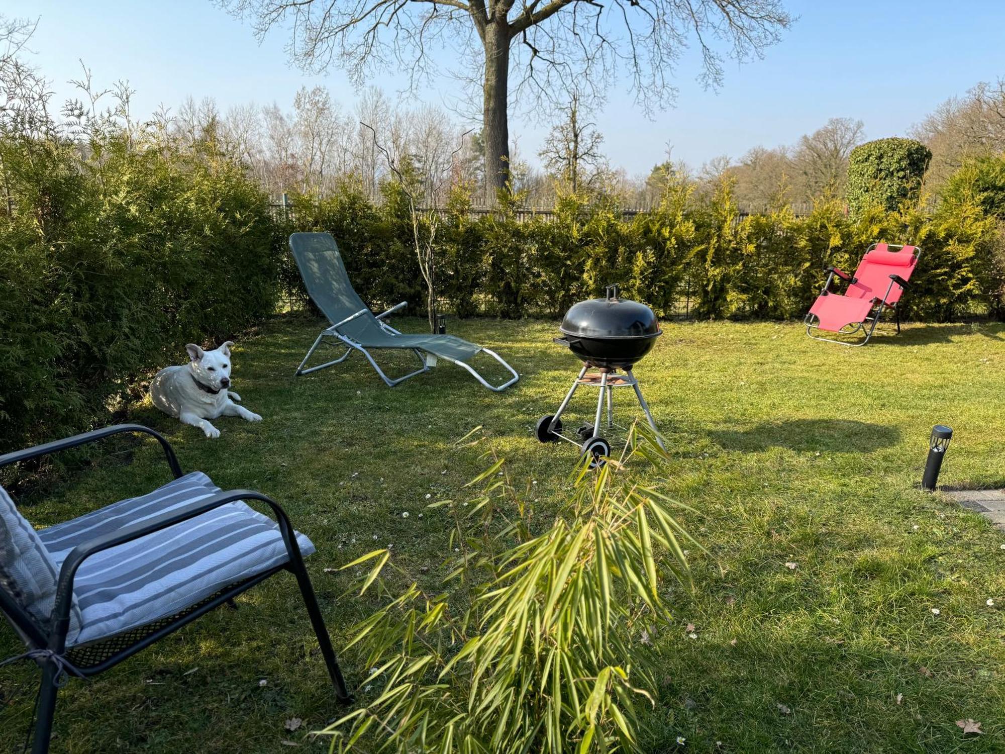 Ferienwohnung Am See Dillich - Ruhige Lage - Eigener Garten - Direkt Neben Einem Natursee Borken  外观 照片