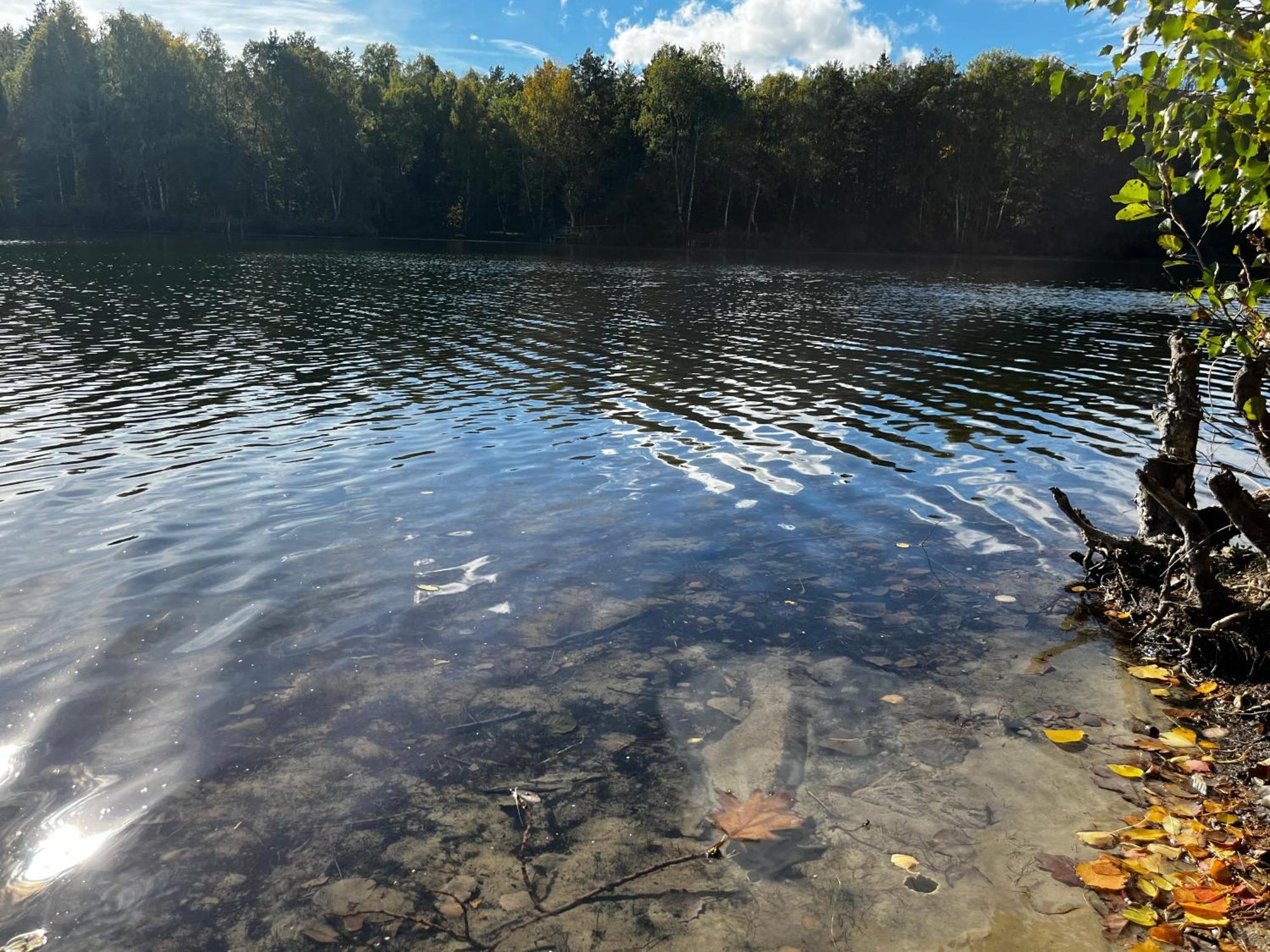 Ferienwohnung Am See Dillich - Ruhige Lage - Eigener Garten - Direkt Neben Einem Natursee Borken  外观 照片
