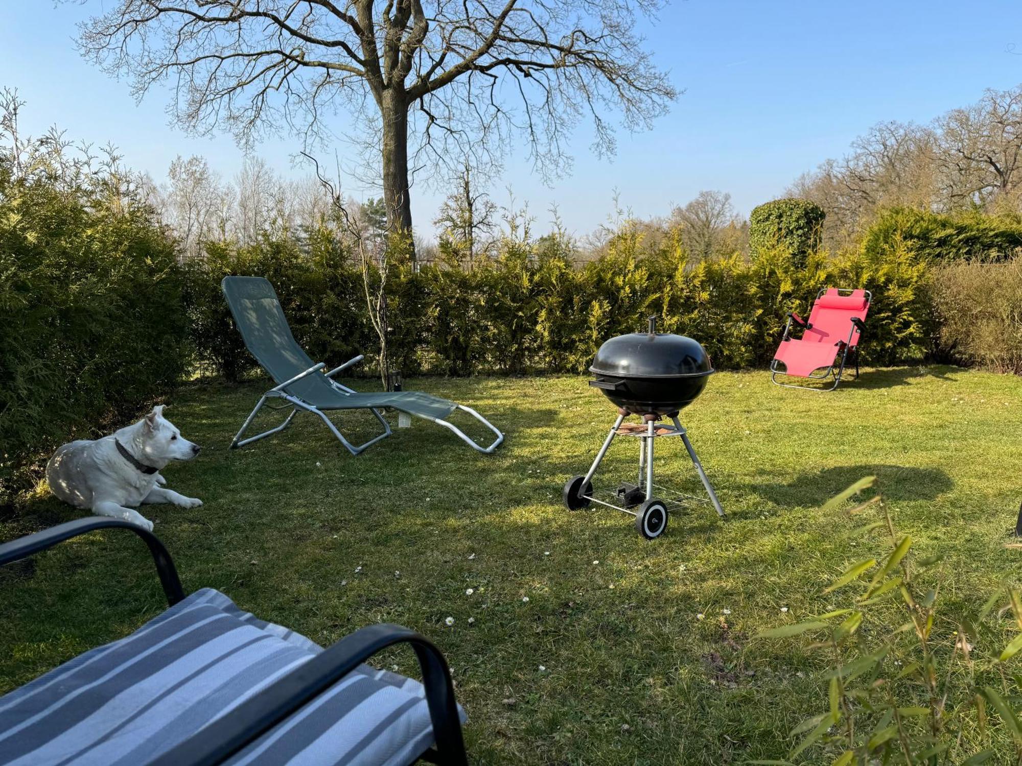 Ferienwohnung Am See Dillich - Ruhige Lage - Eigener Garten - Direkt Neben Einem Natursee Borken  外观 照片