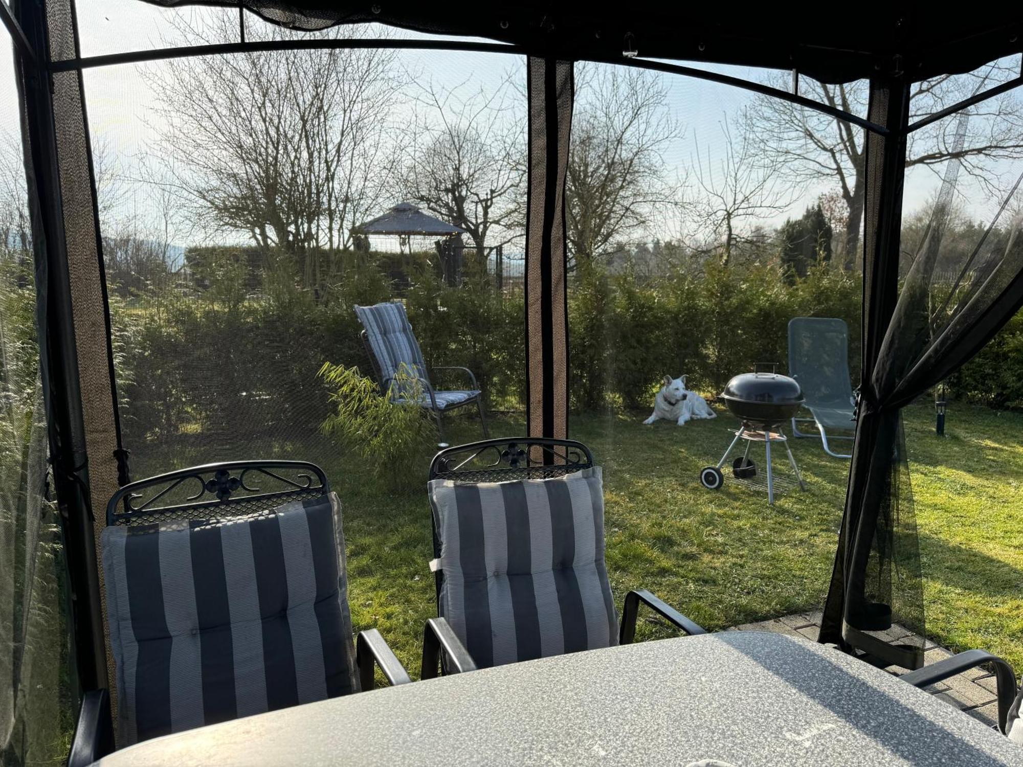 Ferienwohnung Am See Dillich - Ruhige Lage - Eigener Garten - Direkt Neben Einem Natursee Borken  外观 照片